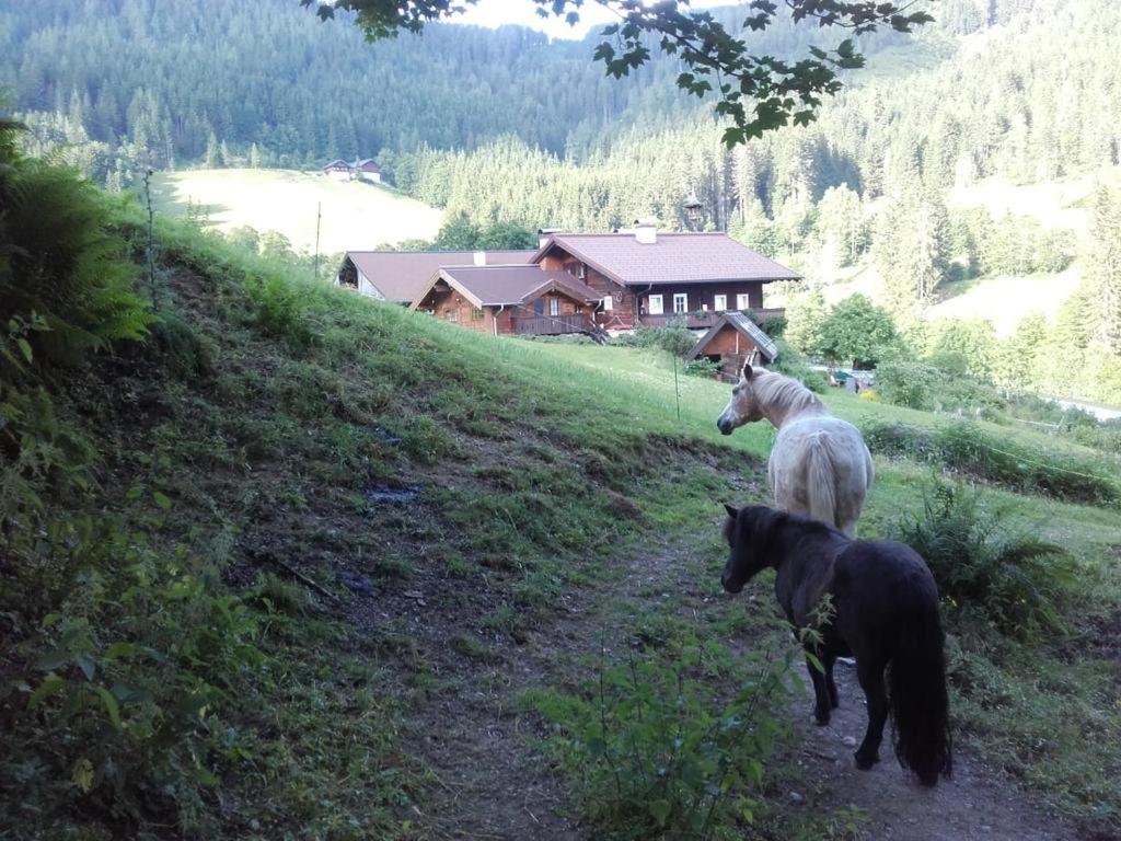 Apartmán Neudegghof Eben Im Pongau Exteriér fotografie
