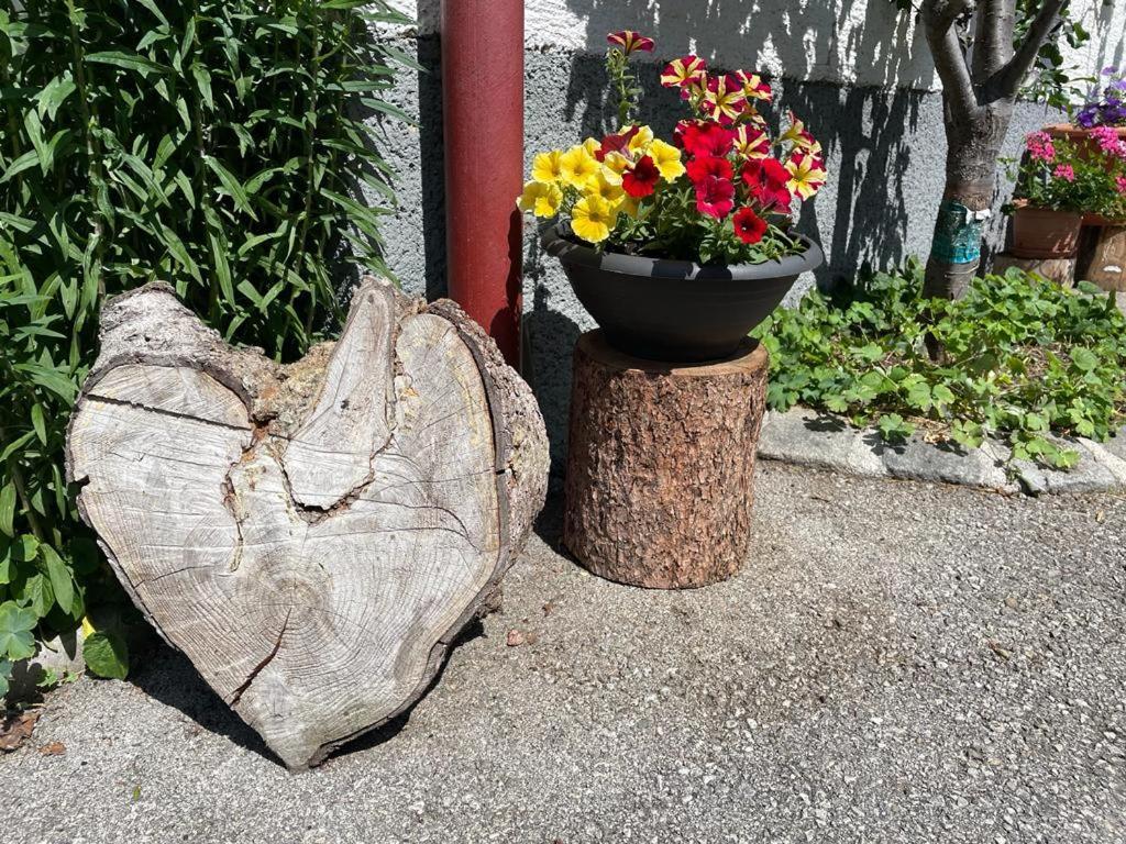 Apartmán Neudegghof Eben Im Pongau Exteriér fotografie